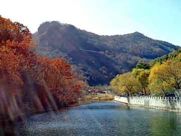 天天彩好彩天天免费，柴油涨价